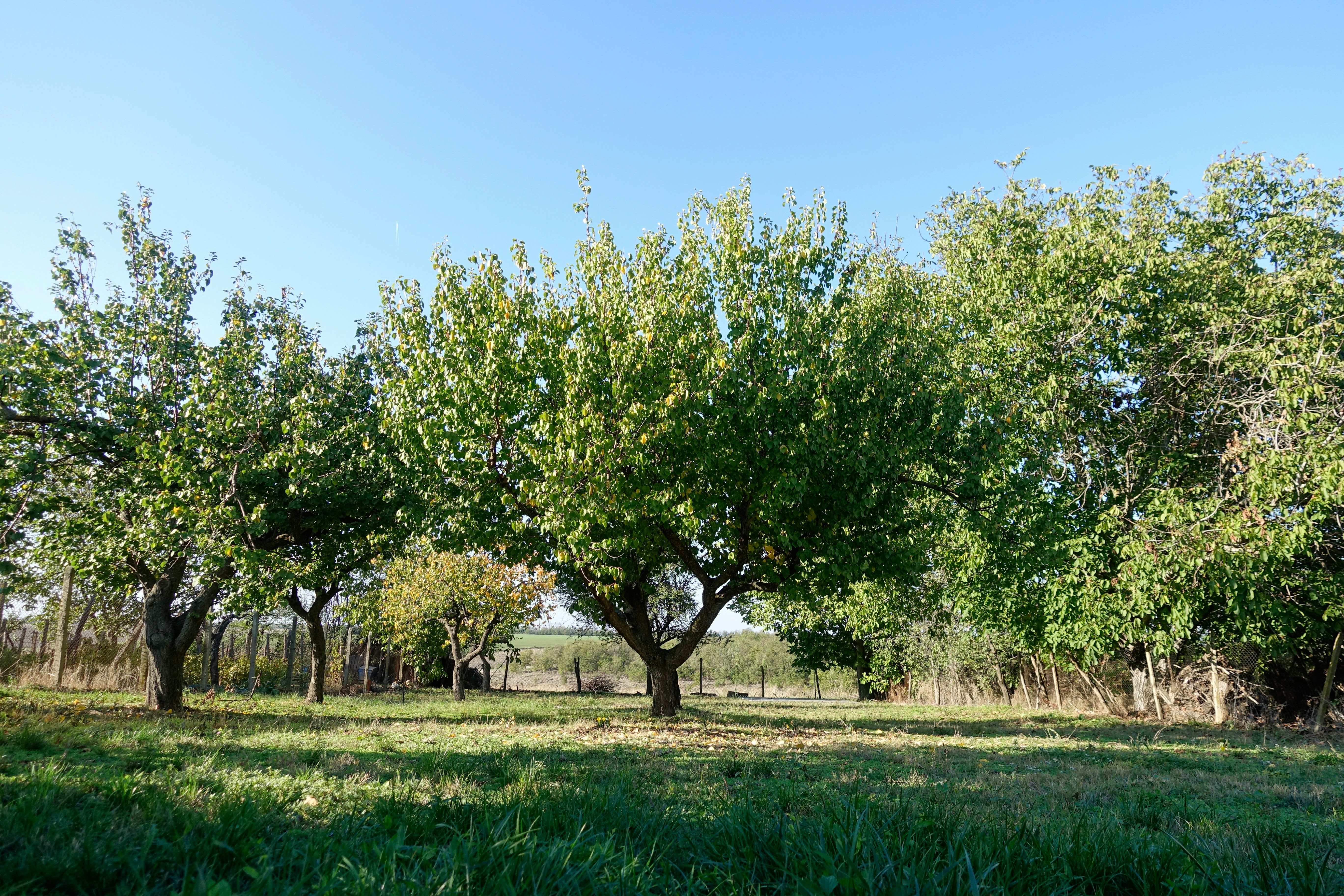 Agropoli &ndash; Stadt und K&uuml;ste