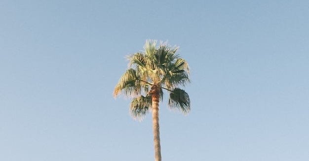 Cilento &ndash; K&uuml;stenstimmung