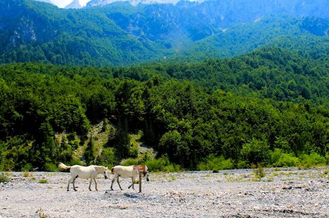 Albania nature