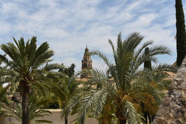 Córdoba ontdekken