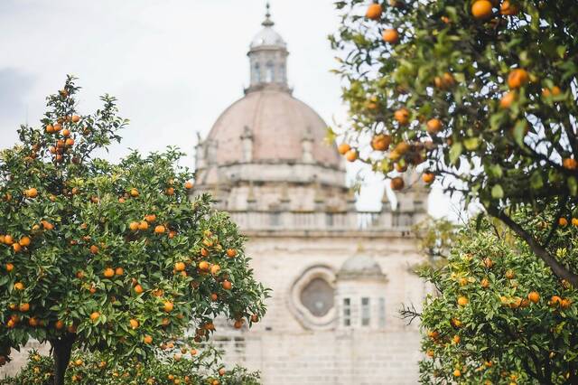 Jerez in de diepte