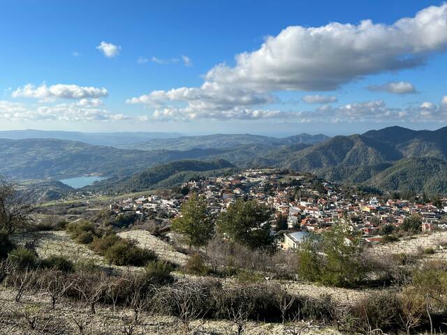 Kalavasosview