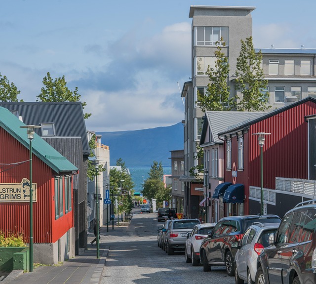 Reykjav&iacute;k met bergen in de verte