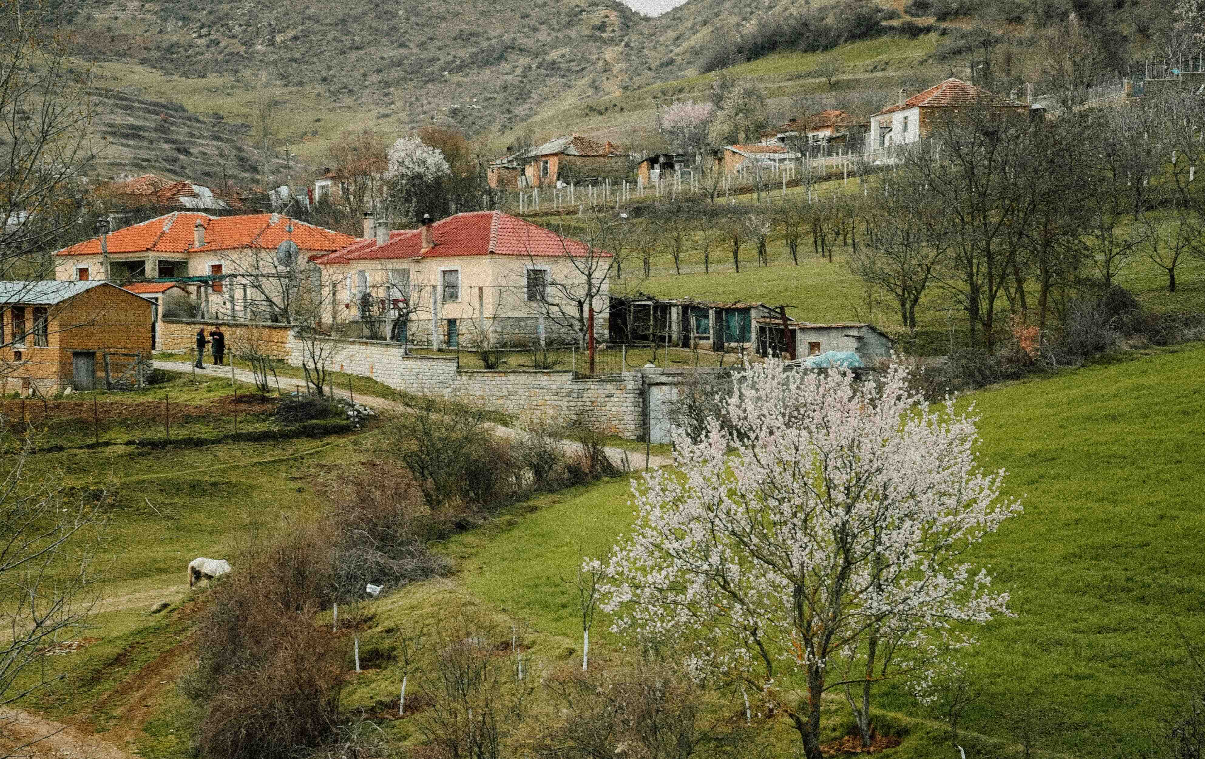 Stadtpark mit gr&uuml;nen Alleen