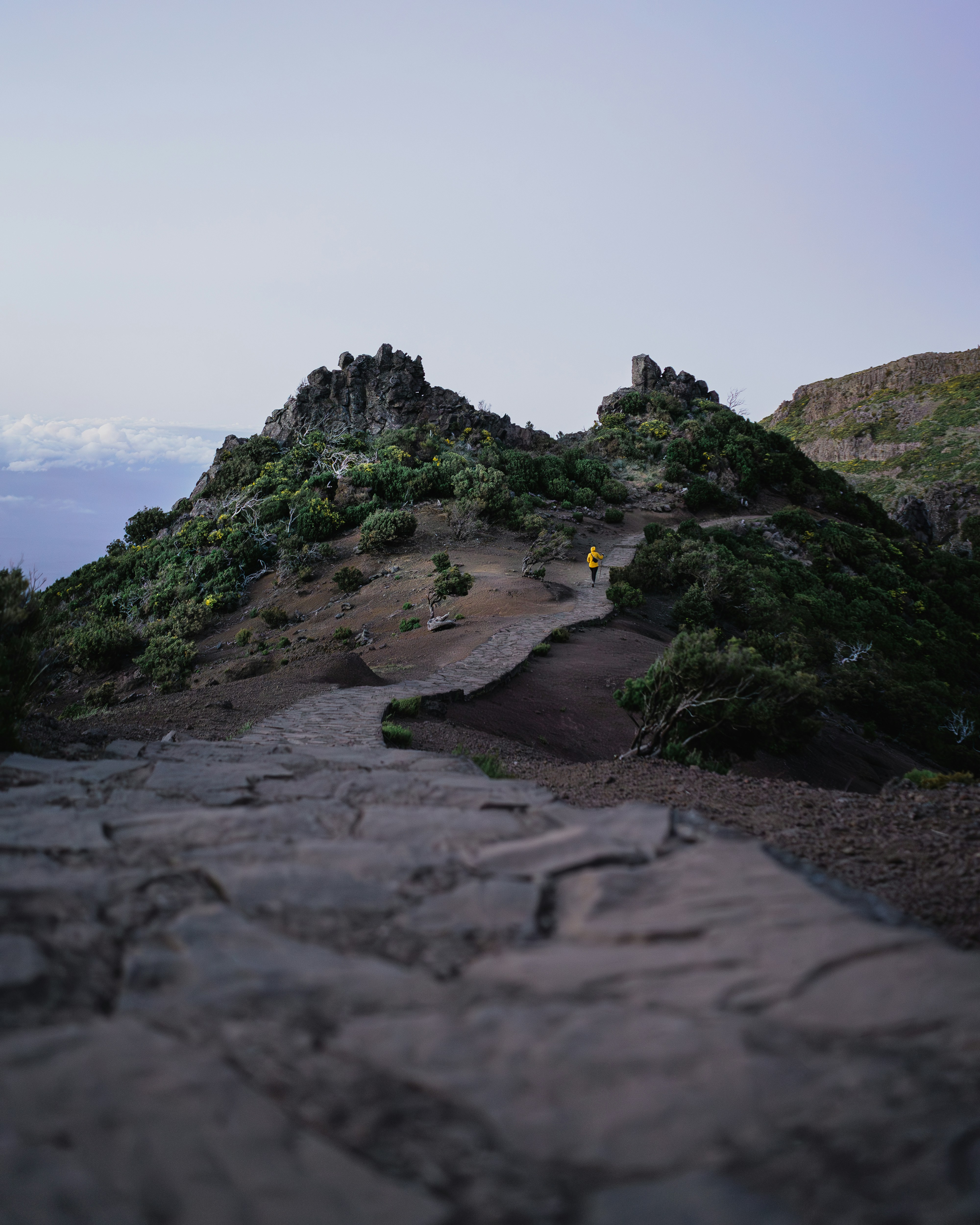 Noordkust met kliffen
