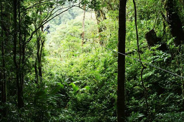 Monteverde – zipline