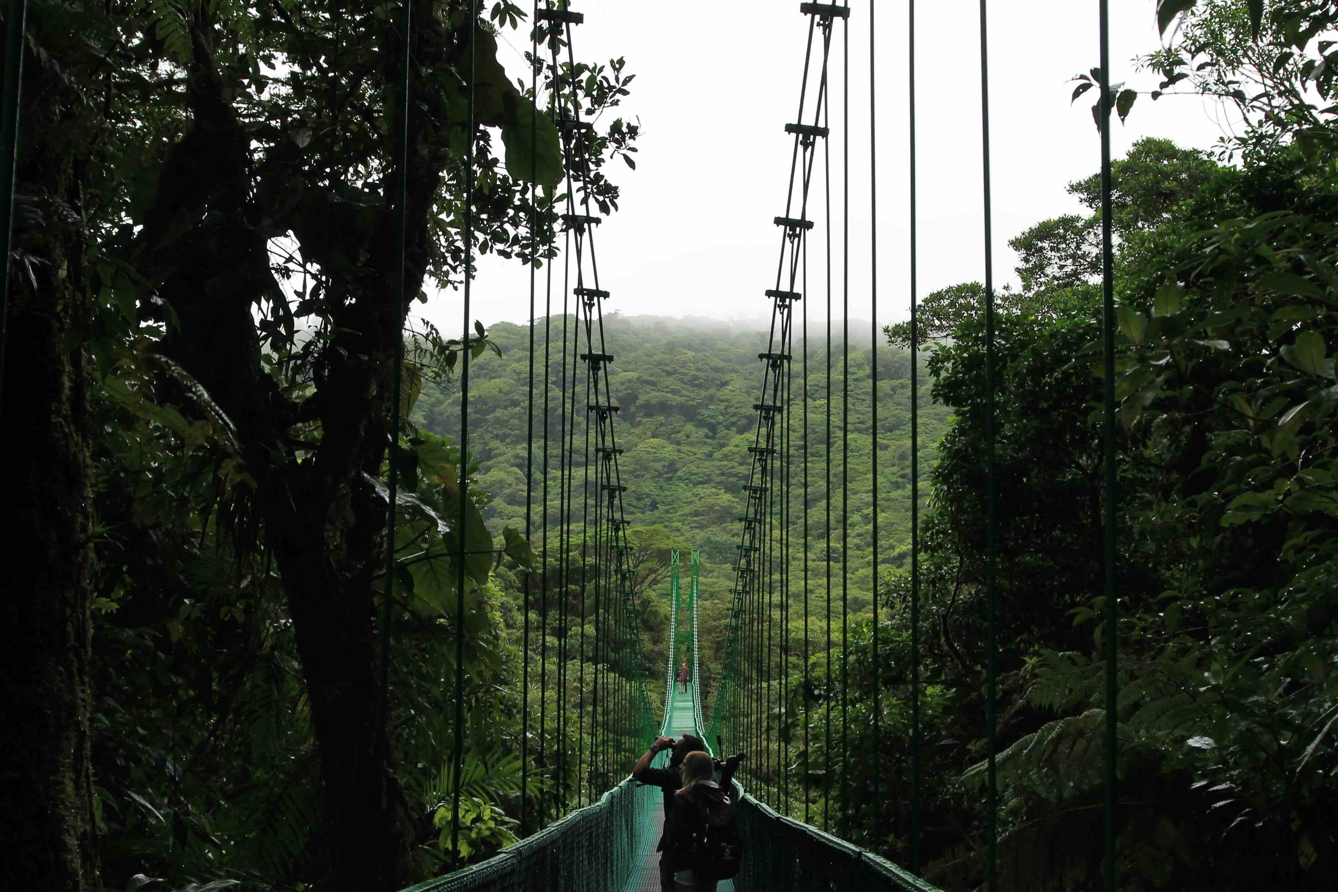 Monteverde brug