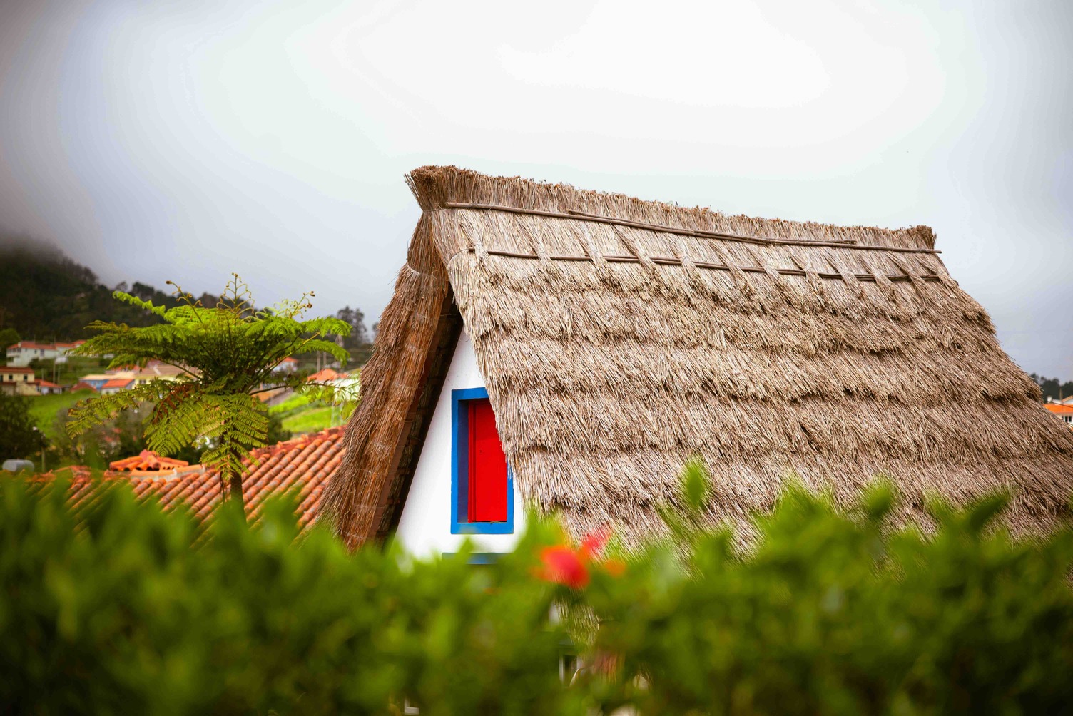 Santana &ndash; Umgebung