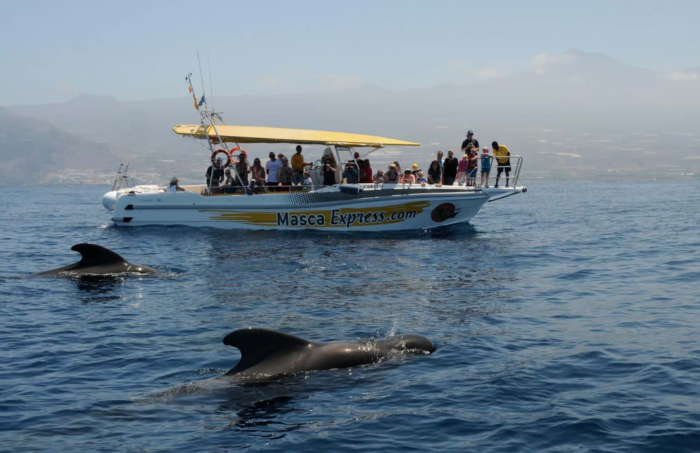 Badestopp in einer Bucht