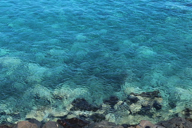 Santa Cruz de Tenerife