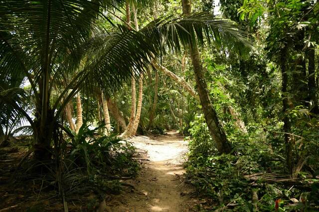 Tortuguero National Park