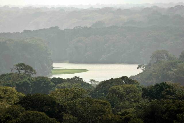 Tortuguero landschap