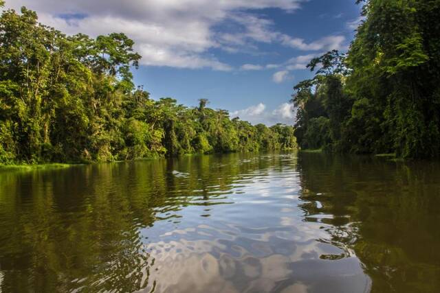 Tortuguero – kanaal