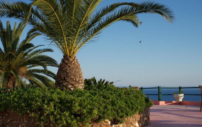 Tuin van Hotel Glavas Inn op Chalkidiki