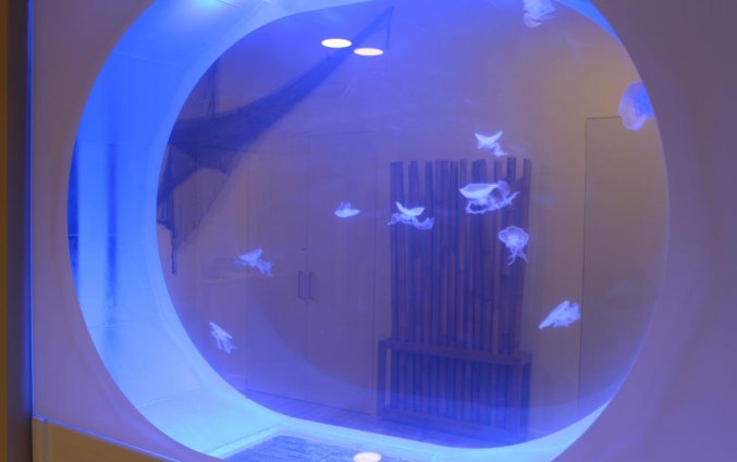 Vissenkom in de lobby van hotel Casual Malaga del Mar in Malaga