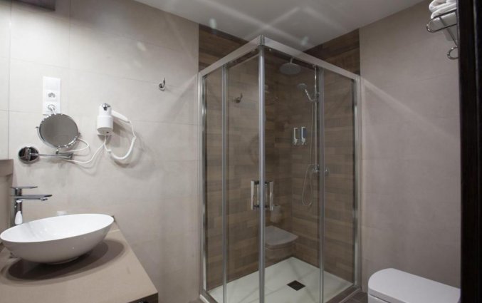 Badkamer van een tweepersoonkamer van Hotel Don Paco in Malaga