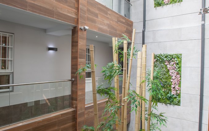 Binnenplaats van Hotel Don Paco in Malaga