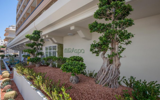 Wellnesscentrum van Hotel Kipriotis Adults Only op Rhodos