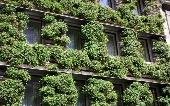 Buitenkant met ramen en fauna van hotel Boutique Stadthalle in Wenen