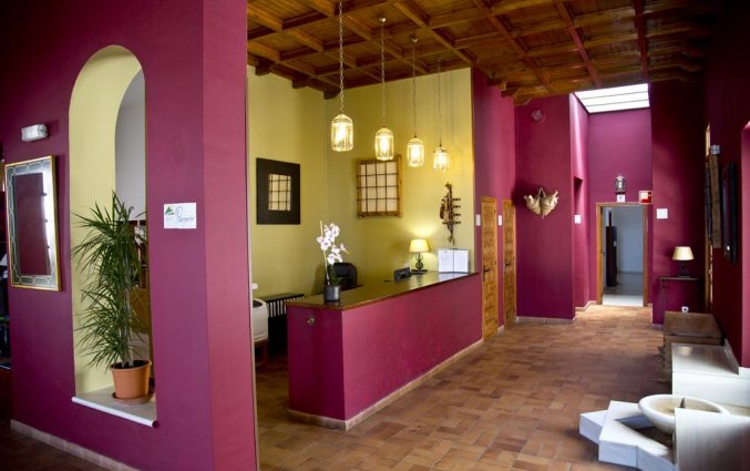 Receptie van Hotel Villa de Priego de Córdoba in Andalusie
