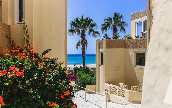 Appartementen Maryvent Beach op Fuerteventura