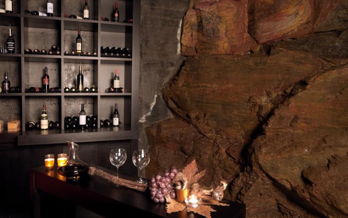 Bar van Água Hotels Mondim de Basto in Noord-Portugal