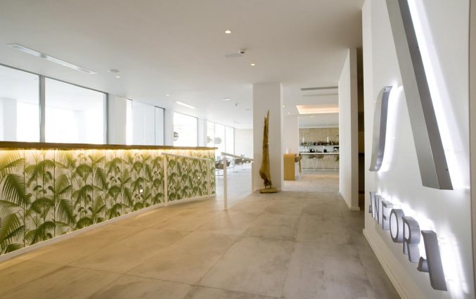 Receptie in Hotel Anfora op Ibiza