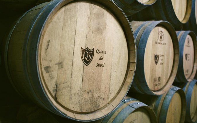 Wijnvaten bij een wijnproeverij in de omgeving van Hotel Rural da Quinta do Silval in Noord-Portugal