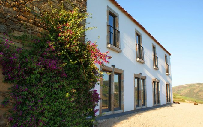 Buitenaanzicht van Bed and Breakfast Quinta da Veiga Noord-Portugal