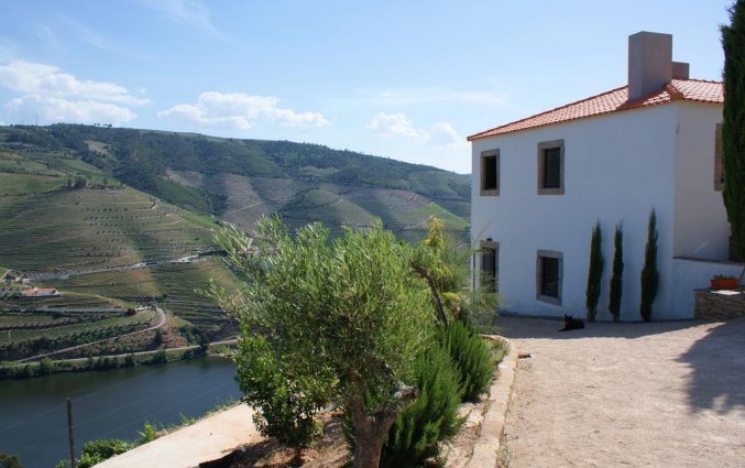 Uitzicht van Bed and Breakfast Quinta da Veiga Noord-Portugal