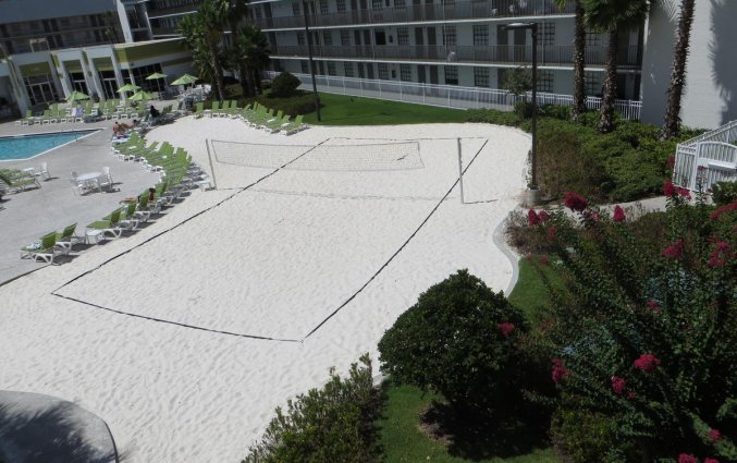 Volleybalveld van Avanti International