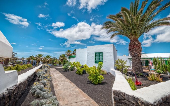 Buitenkant van appartementen Las Gaviotas in Lanzarote