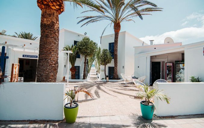 Receptie van appartementen Punta Elena Beach in Fuerteventura