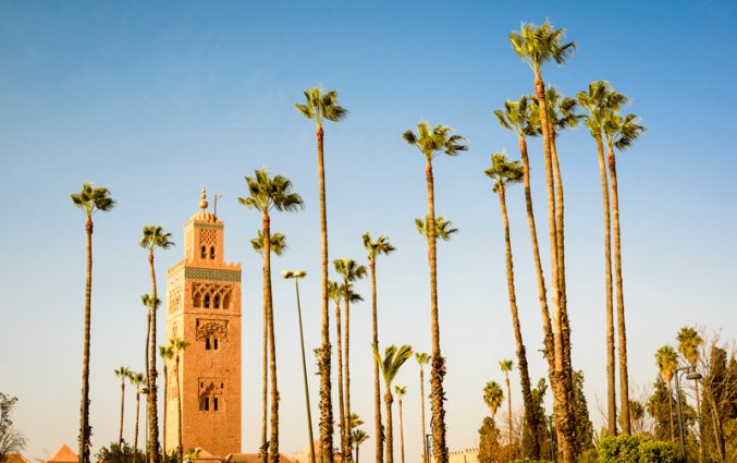Marrakech - Koutoubia