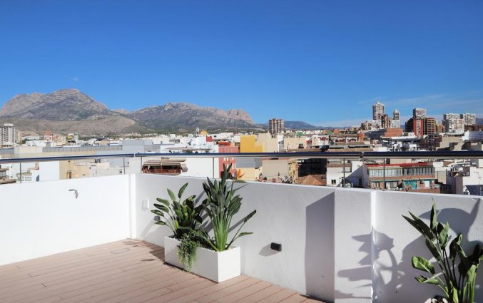 Dakterras van hotel Alameda in Alicante