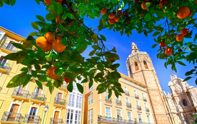 Valencia - Plaza de la Reina