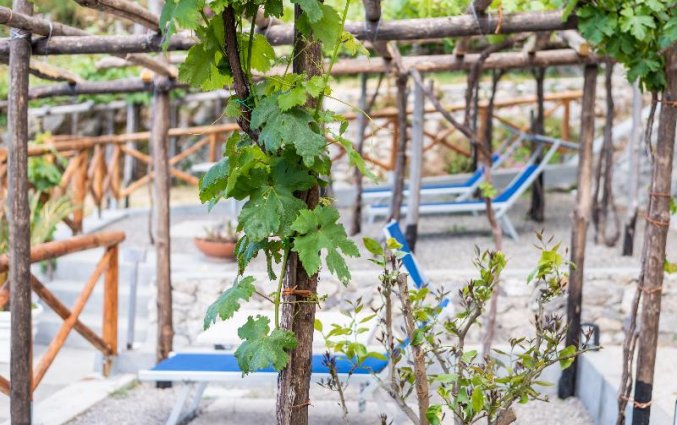 Tuin van Hotel Albergo Diffuso Bacco Furore in Amalfi