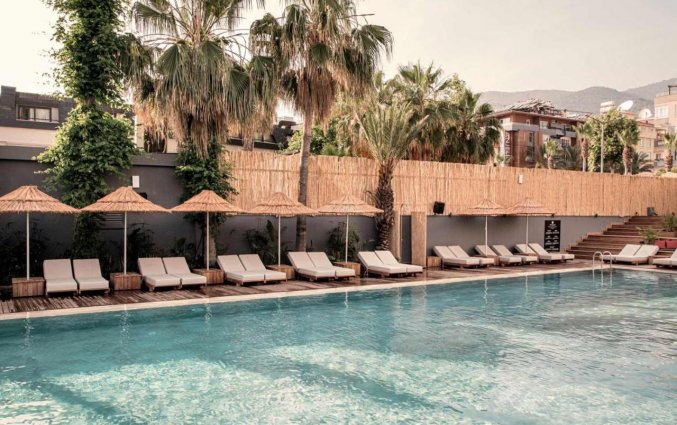 Zwembad van Cook's Club Alanya - Adult Only