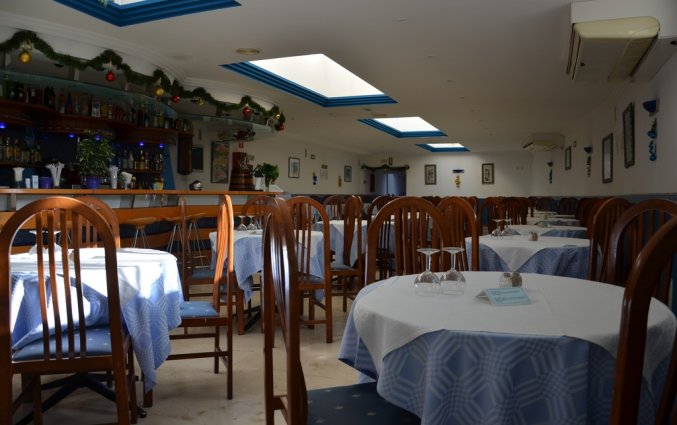 Bar van Studio's Pez Azul op Tenerife