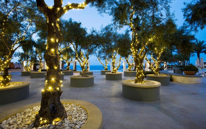 Tuin bij Hilton Malta