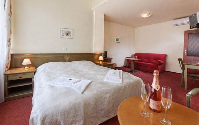 Tweepersoonskamer van Hotel Augustus et Otto in Praag