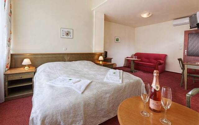 Tweepersoonskamer van Hotel Augustus et Otto in Praag