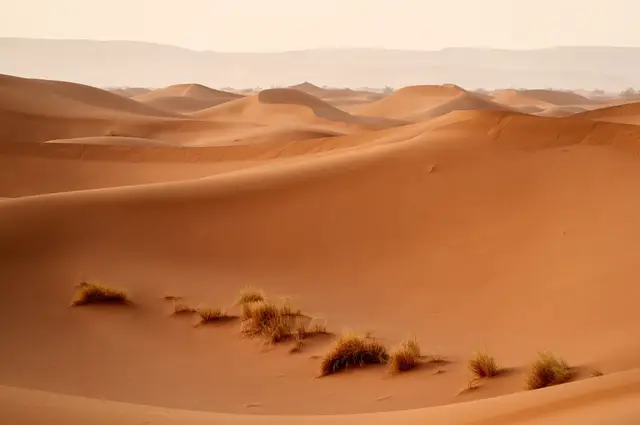 Sahara