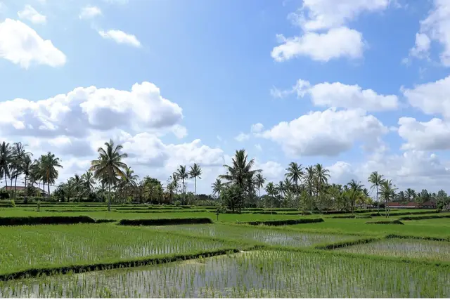 Ubud