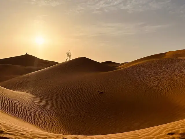 Oman8