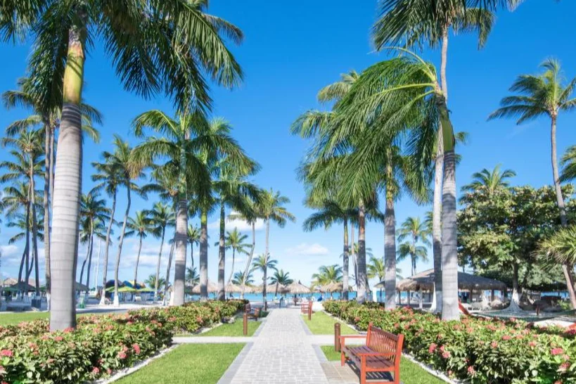 Holiday Inn Resort Aruba5