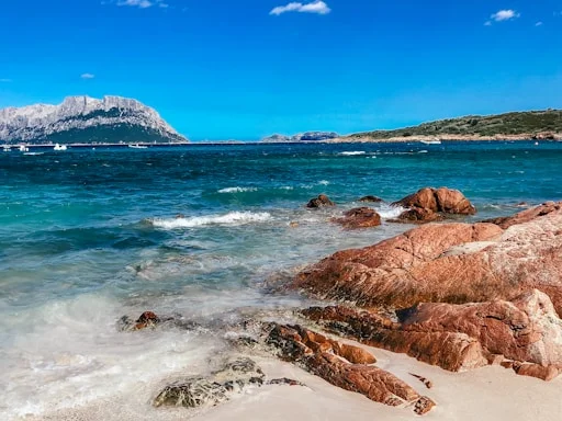 Kleinschalig-Sardinie8