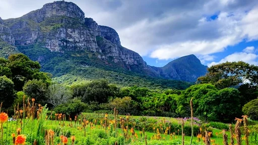 Zuid-Afrika-met-safari9