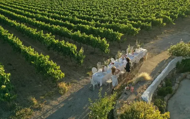 Soul Farm Mas els Igols land