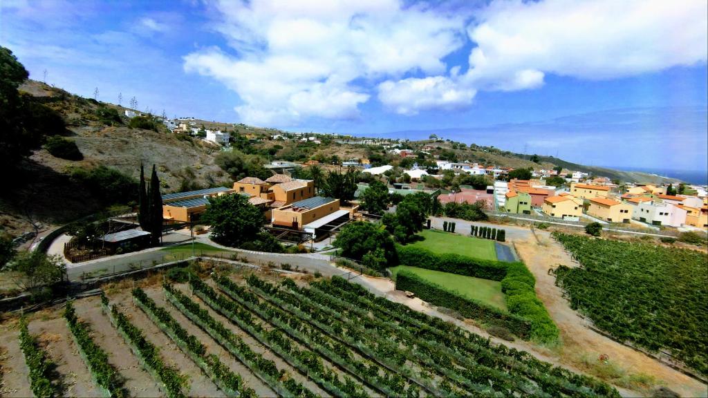 Hotel Rural El Mondalon - wijngaard met uitzicht